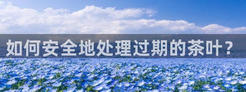 龙八国际老虎机下载