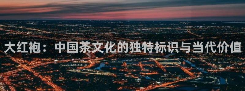 龙八国际app是什么