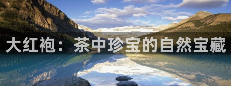 龙八国际手机版下载安卓