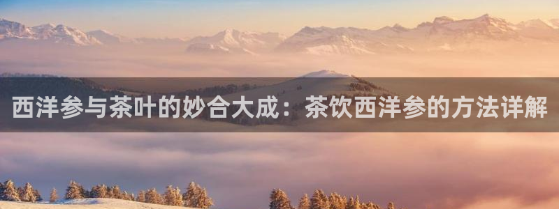 龙八国际集团有限公司