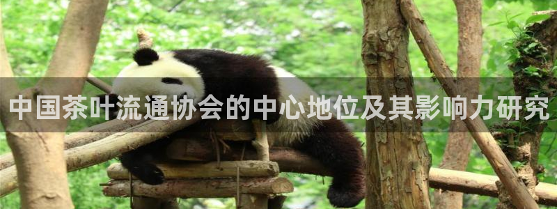 龙八国际服官网下载安装