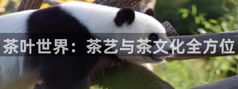 龙八国际平台下载