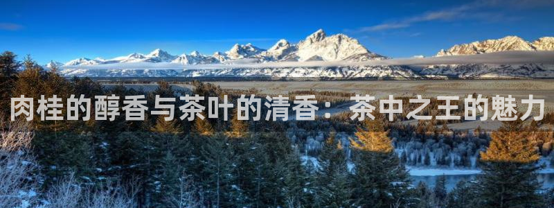 头号玩家龙八国际