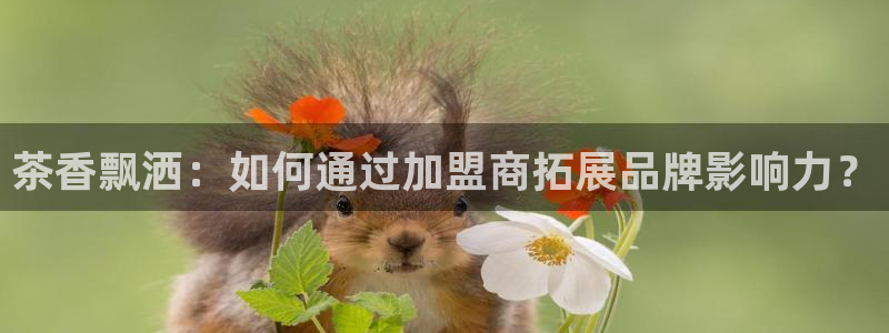 龙八国际娱乐pt老虎机