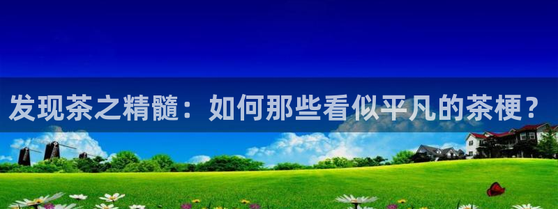 龙八国际免费下载
