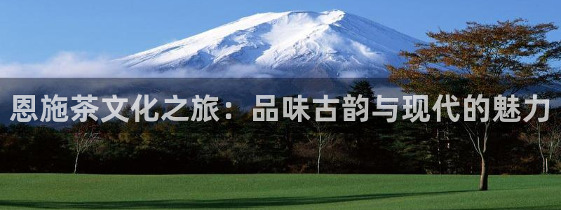 龙八国际老虎机