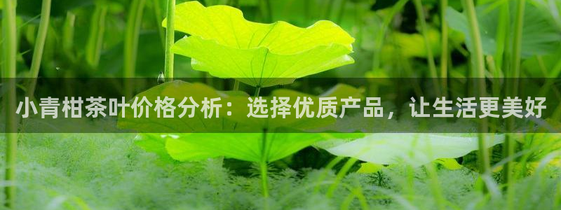 龙八国际客户端下载安卓