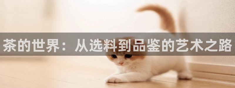 龙八国际赌博经验
