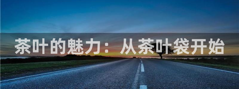 龙八国际电脑版下载