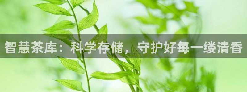 龙八国际跑路了吗