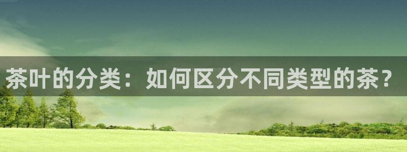 龙八国际下载链接