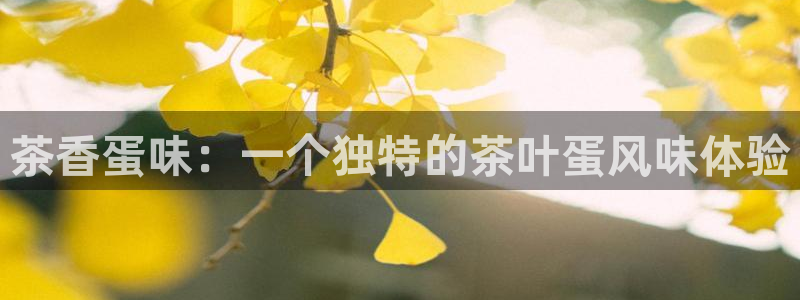 龙八国际网址