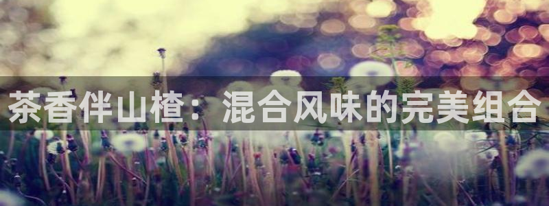 龙八国际平台