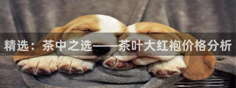 龙八国际在线下载