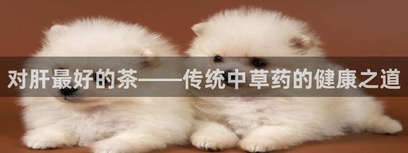 龙八国际娱乐正版