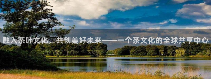 龙八国际apPP