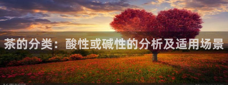 龙八国际手机版入口官网