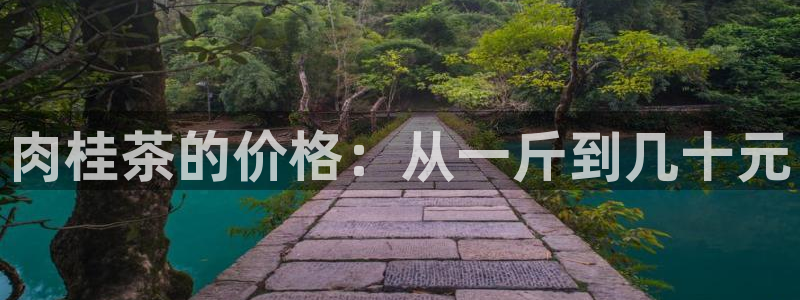 龙八国际视频网站