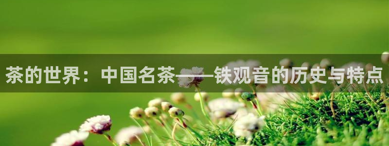 龙八国际安全吗