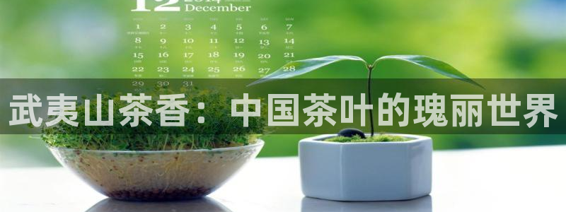 龙八国际APP客户