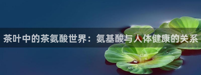 龙八国际游戏维护时间