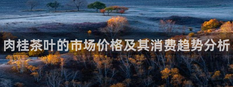 龙八国际手机版首页