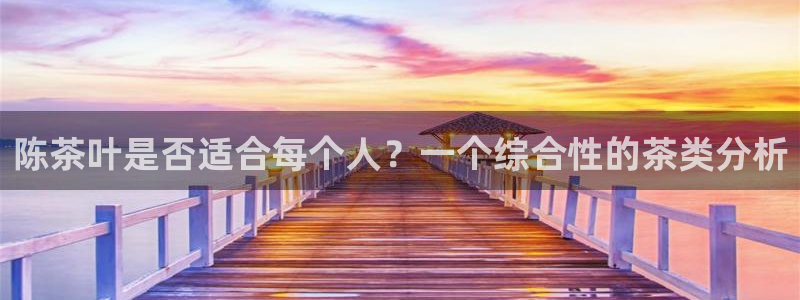 龙八国际贸易有限公司