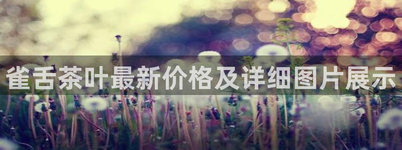 龙八国际娱乐平台网站