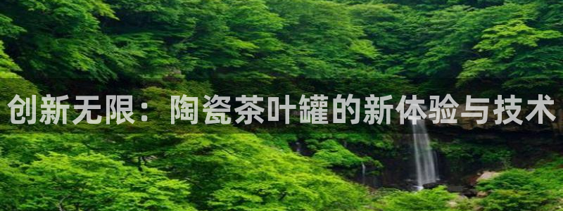龙八国际娯乐城