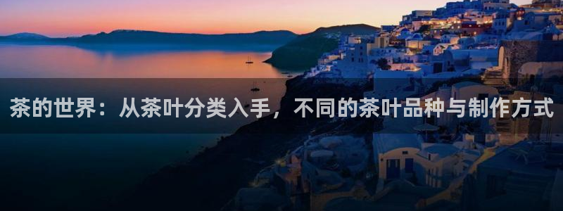 龙八国际我要登录