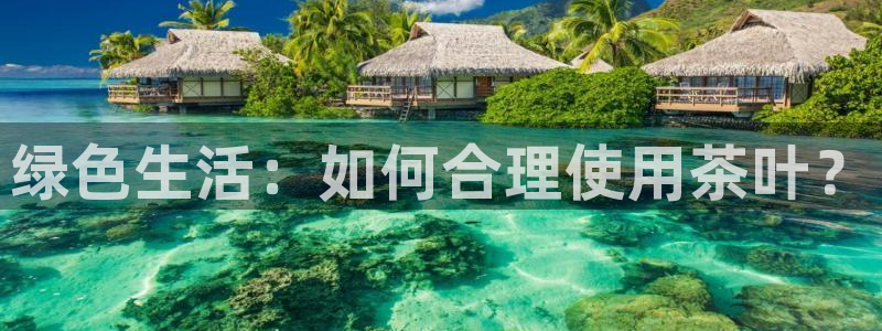 龙八国际官网首页