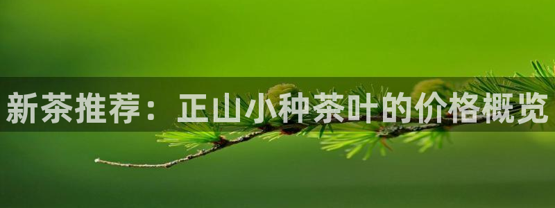 下载龙八国际手机端