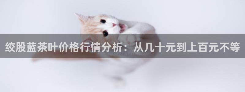 龙八国际苹果版下载