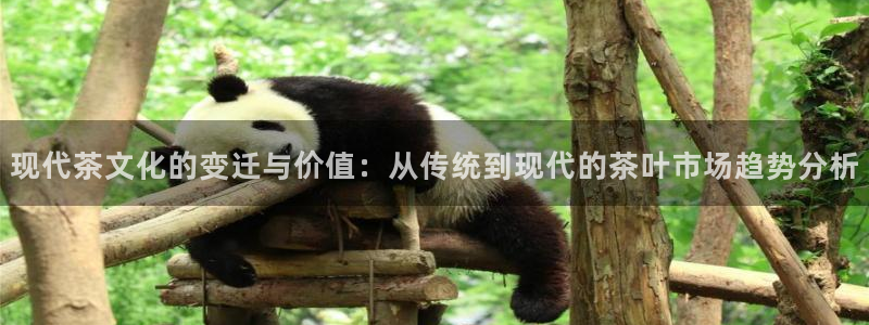 龙八国际版游戏