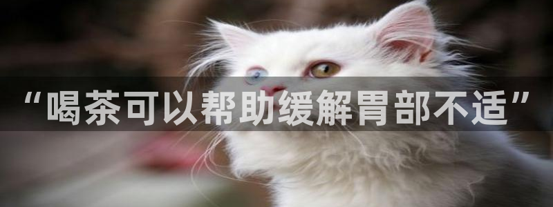 龙八国际相似的平台