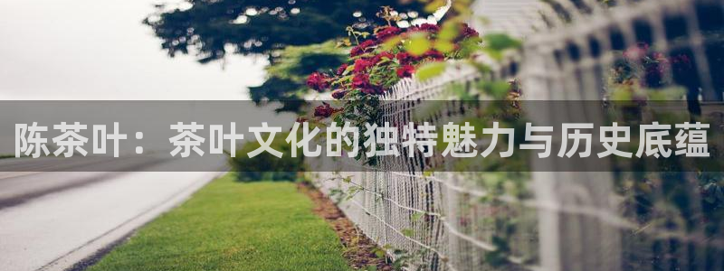 官网龙八国际