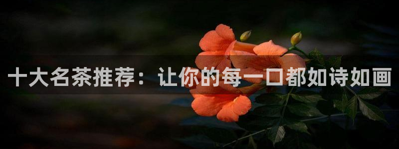 菲律宾的龙八国际