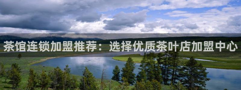 龙八国际手游