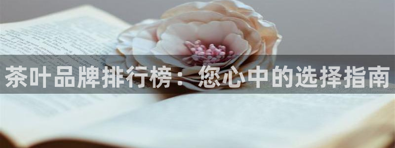 龙八国际手机版登录首页