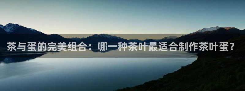 龙八国际网站多少