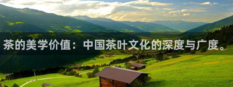 龙八国际苹果版
