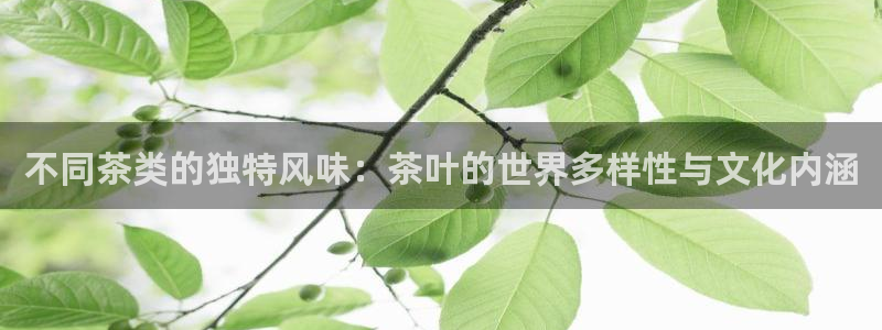 龙八国际app鄂州