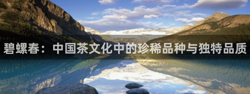 龙八国际平台可靠吗