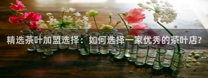 龙八国际官方网站手机版