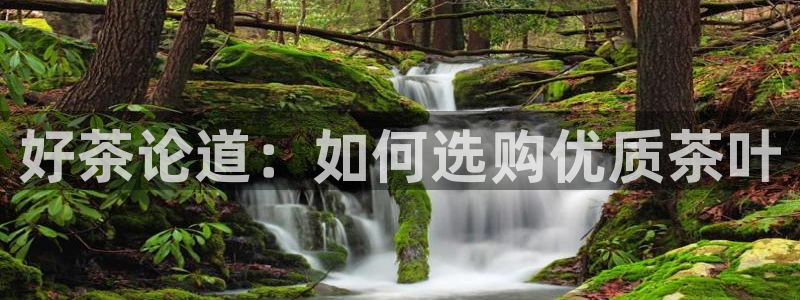 龙八国际交响乐