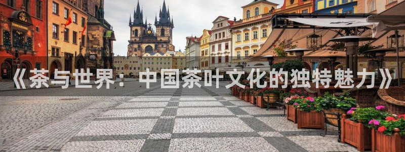 龙八国际网页登陆
