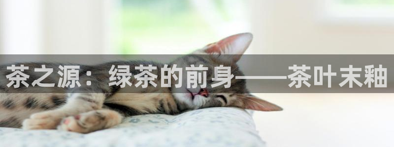 龙八国际app下载